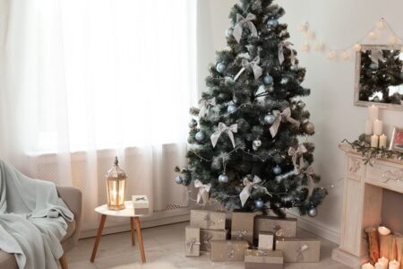 espíritu navideño y madia de navidad