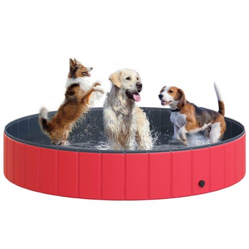 Piscina Dobrável para Cães, para proteger os teus animais do calor no verão.