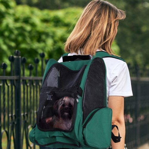 Transportadora 2 em 1 para Animais de Estimação para proteger os teus animais do calor no verão.