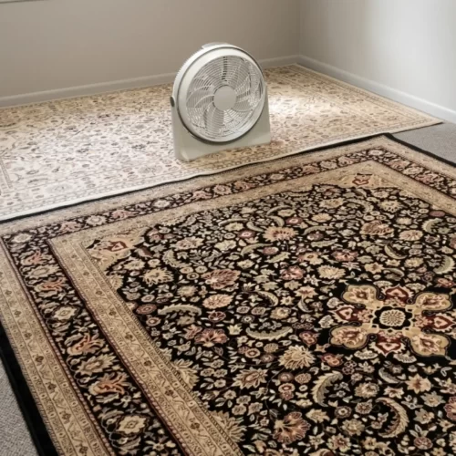 Secar um tapete depois de o limpar com uma lavadora de alta pressão