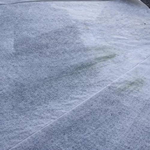 Manchas de bolor num tecido de exterior
